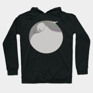 Bird Balls:  Pigeon! Hoodie